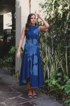 Denim Fit And Flare Midi Dress